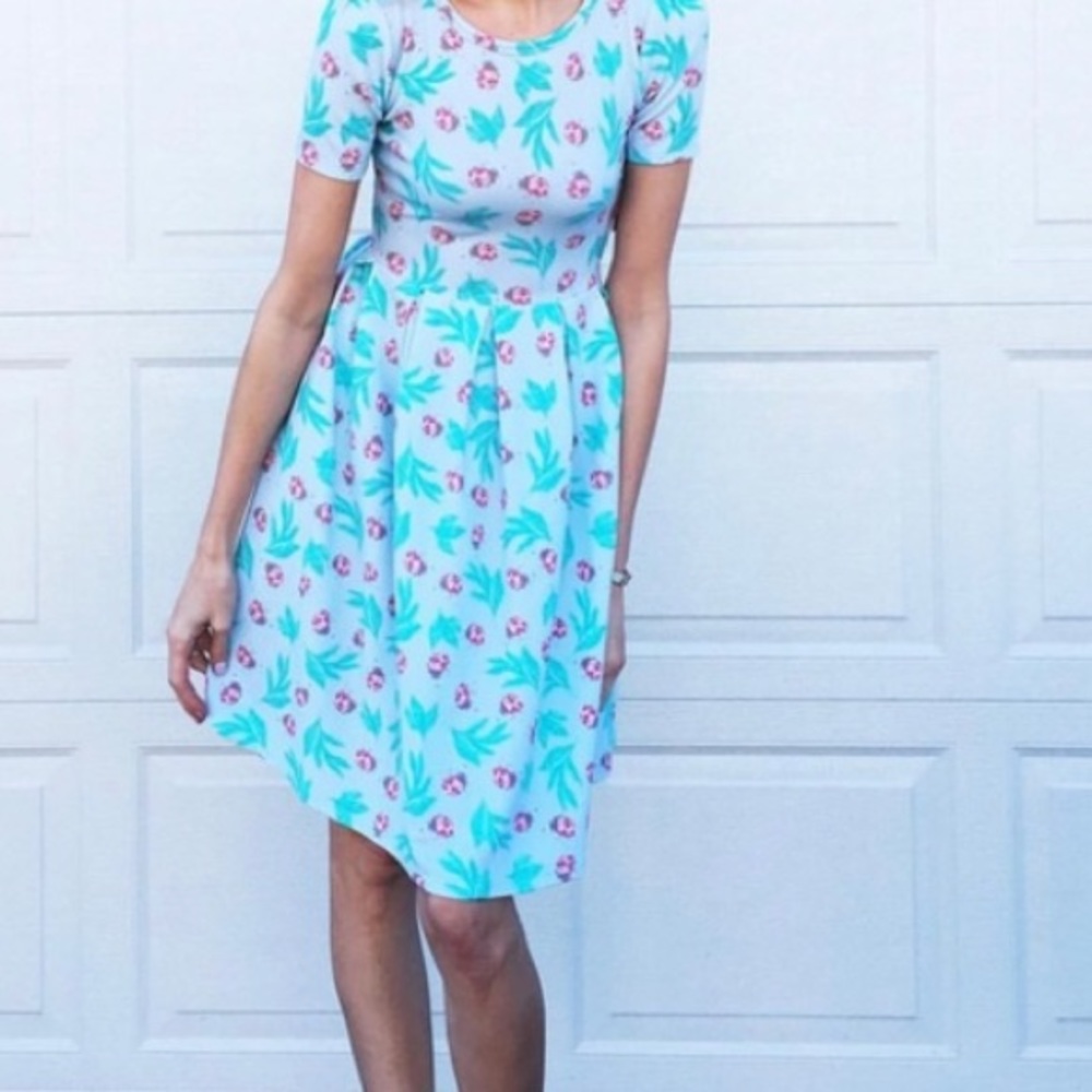 FINAL DROP 🚨 NWT Lularoe Ladybug Print Xsmall Amelia Dress